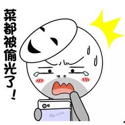 娱乐吃瓜酱敷衍,敷衍吃瓜，揭秘幕后真相